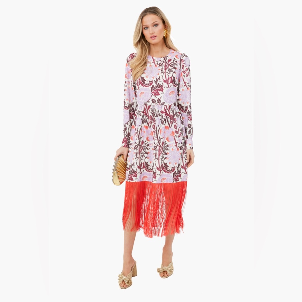 Tuckernuck fringe dress. Super cute and good for holidays